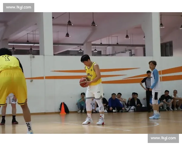 基于篮球数据分析的多维度研究与实践应用探讨